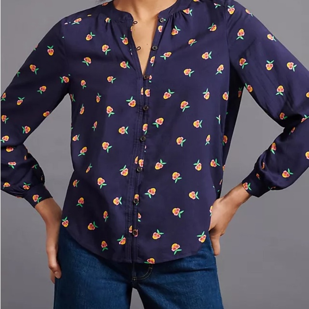 The Art Of Anthropologie Kendra Dandy Dreamer Buttondown Top Size 4 S Strawberry